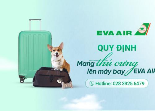 Mang thú cưng lên máy bay Eva Air: Quy định và lưu ý mới nhất