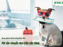 Quy định vận chuyển thú cưng Eva Air bạn nên biết