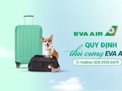 Quy định vận chuyển thú cưng Eva Air bạn nên biết