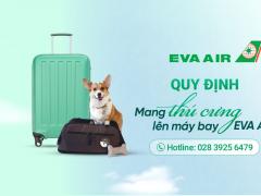 Mang thú cưng lên máy bay Eva Air: Quy định và lưu ý mới nhất