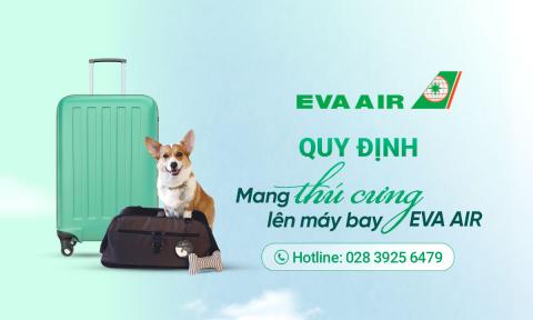 Quy định mang thú cưng lên máy bay EVA Air chi tiết A đến Z