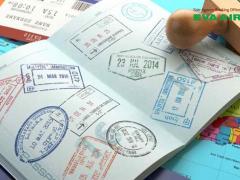 Checklist giấy tờ cho thú nuôi đi máy bay EVA Air an toàn