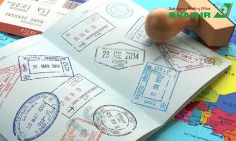 Checklist giấy tờ cho thú nuôi đi máy bay EVA Air an toàn