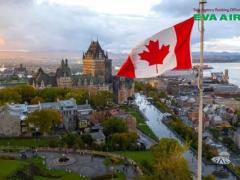 Hướng dẫn thủ tục mang chó mèo đi Canada bằng EVA Air từ A-Z