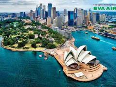 Hướng dẫn thủ tục mang thú cưng đi Úc bằng EVA Air từ A-Z