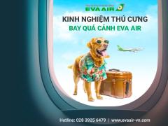 Tất tần tật kinh nghiệm thú cưng bay quá cảnh EVA Air từ a-z