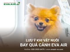 Lưu ý khi vật nuôi bay quá cảnh EVA Air mà bạn cần biết