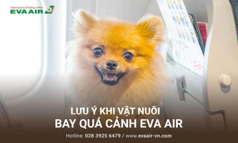 Lưu ý khi vật nuôi bay quá cảnh EVA Air mà bạn cần biết