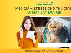 Mẹo giảm stress cho thú cưng đi máy bay EVA Air hiệu quả