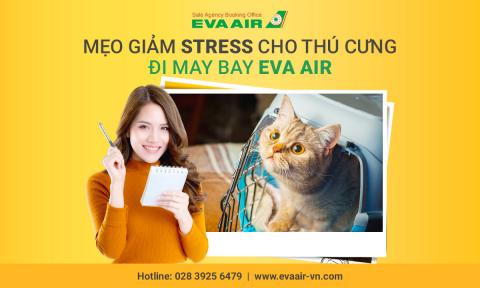 Mẹo giảm stress cho thú cưng đi máy bay EVA Air hiệu quả