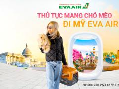 Tất tần tật thủ tục mang chó mèo đi Mỹ hãng EVA Air từ a-z