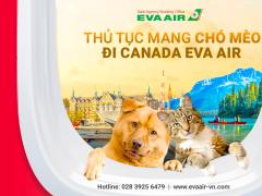 Hướng dẫn thủ tục mang chó mèo đi Canada bằng EVA Air A-Z