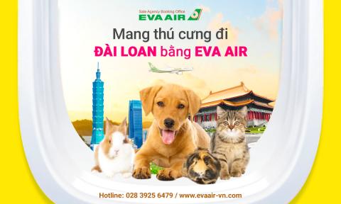 Mang thú cưng đi Đài Loan bằng EVA Air - Hướng dẫn chi tiết