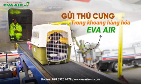 Gửi thú cưng trong khoang hàng hóa EVA Air: An toàn không?