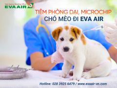 Tiêm phòng dại, Microchip chó mèo bay EVA Air trước bao lâu?