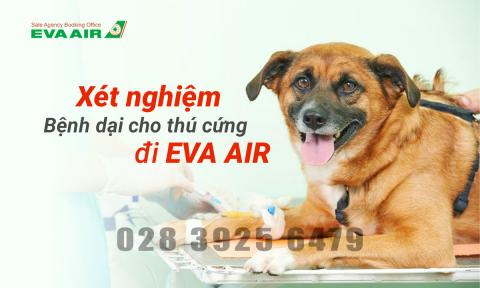 Khi nào cần xét nghiệm bệnh dại cho thú cưng bay EVA Air?