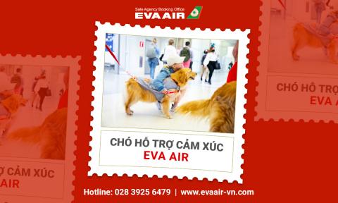 Chó Hỗ Trợ Cảm Xúc EVA Air: Quy Định và lưu ý quan trọng