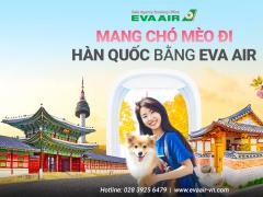 Mang chó mèo đi Hàn Quốc bằng EVA Air: Quy định và lưu ý mới