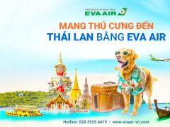 Mang thú cưng đến Thái lan bằng EVA Air: Hướng dẫn chi tiết
