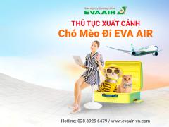 Thủ tục xuất cảnh chó mèo đi máy bay EVA Air cần những gì?