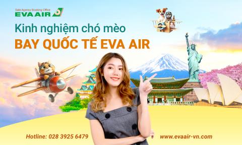 Kinh nghiệm chó mèo bay quốc tế EVA Air đường dài từ A-Z