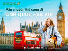 Thủ tục vận chuyển thú cưng đi Anh Quốc EVA Air an toàn