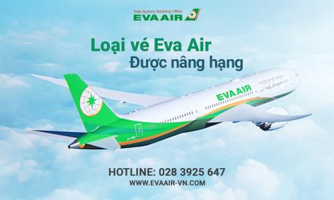 Loại vé EVA Air được nâng hạng: Basic, standard hay Flexible?