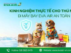 Kinh Nghiệm Thực Tế Cho Thú Nuôi Đi Máy Bay EVA Air An Toàn