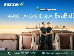 Nâng hạng ghế EVA Air qua EVABidDeal có đảm bảo không?