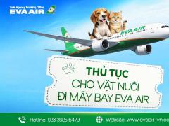 Tất tần tật thủ tục cho vật nuôi đi máy bay EVA Air từ A-Z