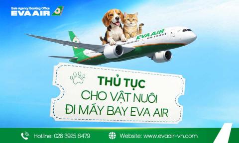 Tất tần tật thủ tục cho vật nuôi đi máy bay EVA Air từ A-Z