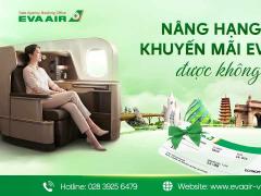 Nâng hạng vé khuyến mãi EVA Air được không? Giải đáp chi tiết