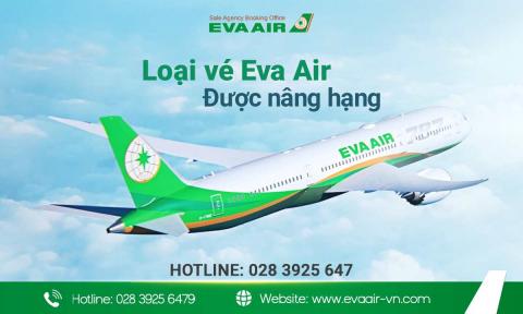 Loại vé EVA Air được nâng hạng: Basic, standard hay Flexible?