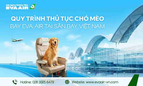 Quy trình thủ tục chó mèo bay EVA Air tại sân bay Việt Nam