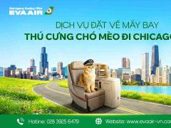 Dịch vụ đặt vé máy bay thú cưng chó mèo đi Chicago Mỹ EVA Air