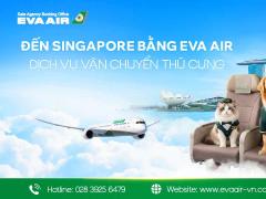 Dịch vụ vận chuyển thú cưng đến Singapore bằng EVA Air