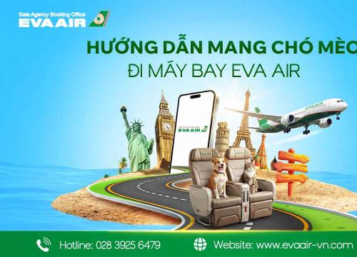 Hướng dẫn mang chó mèo đi máy bay EVA Air chi tiết