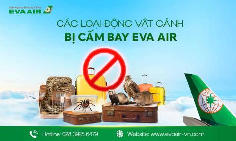 Các loại động vật cảnh bị cấm bay EVA Air bạn nên biết