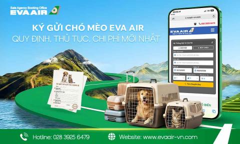 Ký Gửi Chó Mèo EVA Air: Quy Định, Thủ Tục, Chi Phí Mới Nhất