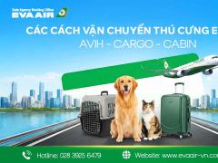 Các Cách Vận Chuyển Thú Cưng EVA Air: AVIH, Cargo, Cabin