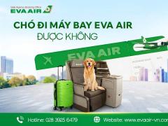 Chó đi máy bay EVA Air được không? Hướng dẫn toàn tập từ a-z