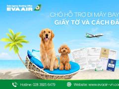 Chó Hỗ Trợ Đi Máy Bay EVA Air: Giấy tờ Và Cách Đăng Ký
