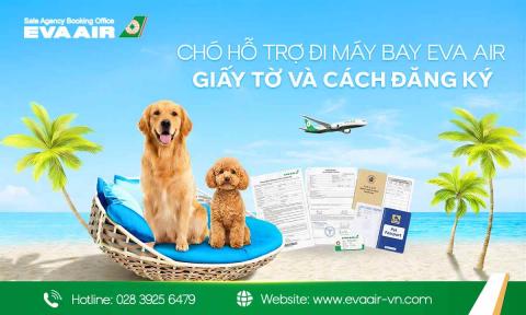 Chó Hỗ Trợ Đi Máy Bay EVA Air: Giấy tờ Và Cách Đăng Ký