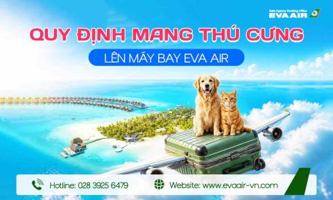 Quy định mang thú cưng lên máy bay EVA Air chi tiết A đến Z