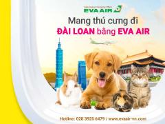 Mang thú cưng đi Đài Loan bằng EVA Air - Hướng dẫn chi tiết