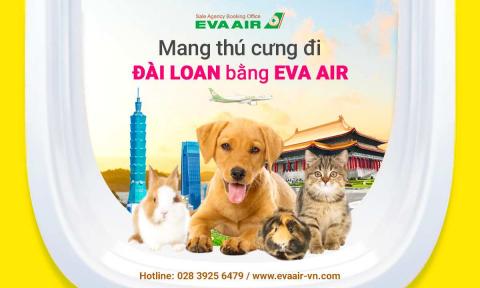 Mang thú cưng đi Đài Loan bằng EVA Air - Hướng dẫn chi tiết