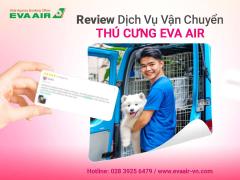 Review dịch vụ vận chuyển thú cưng EVA Air: Có tốt không?