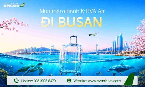 Mua Thêm Hành Lý EVA Air Đi Busan - Hàn Quốc