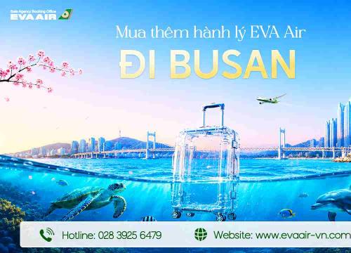 Mua Thêm Hành Lý EVA Air Đi Busan - Hàn Quốc