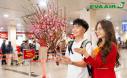 Vé Máy Bay Tết Từ San Francisco Về Việt Nam Giá Rẻ